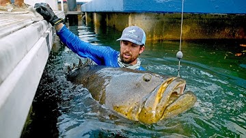 BIGGEST Fish Caught from a Dock