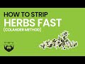 How to Strip Herbs Fast (2 Ways)
