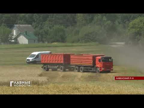 В Орловском регионе стартовала уборочная страда!