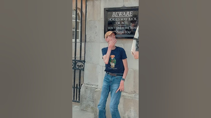 KING’S GUARD KIND RESPONSE TO BOY | Horse Guards, Royal guard, Kings Guard, Horse, London, 2024