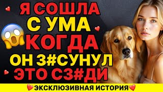 картинка: Моя собака вдруг сделала это со мной посреди ночи