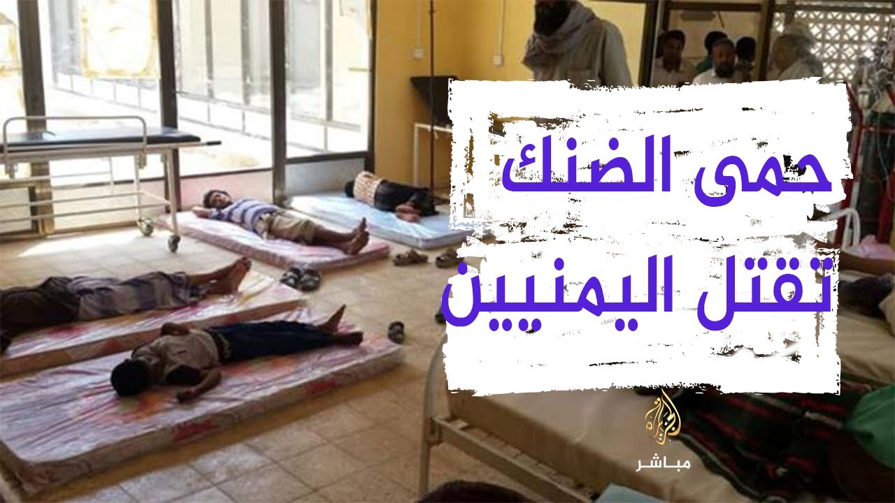انتشار وباء "حمى الضنك" في تعز