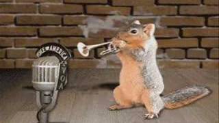 Kanikuły - Squirrel Dance