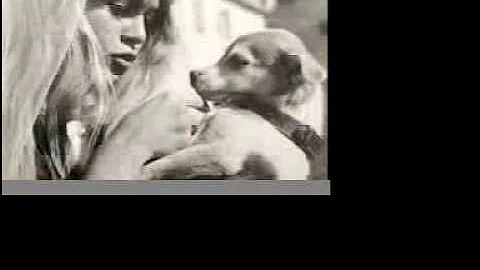 Brigitte Bardot  pets and animals