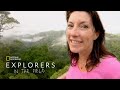 Borneo's Unique Wildlife and Adaptations