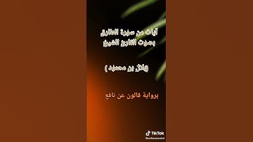 ما تيسر من سورة الطارق