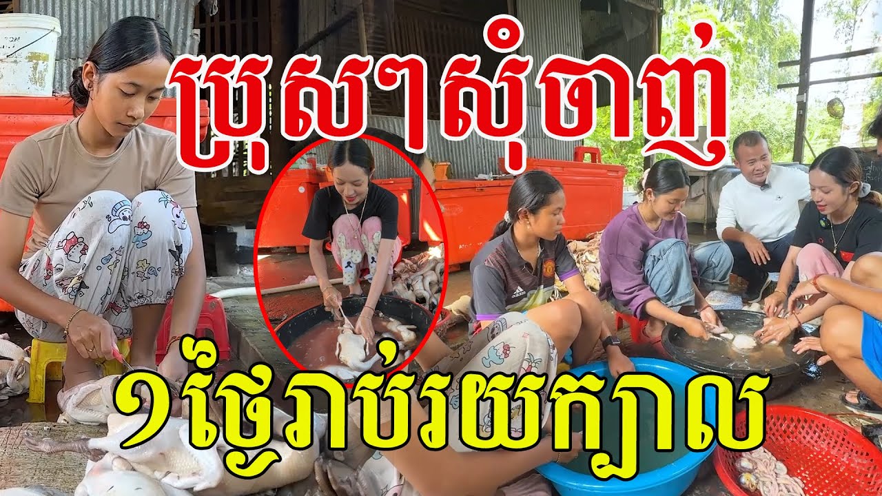 ប្រុសៗសុំចាញ់ បងប្អូនស្រីៗ៤នាក់ ប្រកបរបរតពីពុកម៉ែ