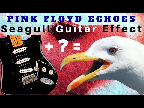 the-'seagull'-effect-on-echoes-by-pink-floyd-(reversed-wah-+-delay)