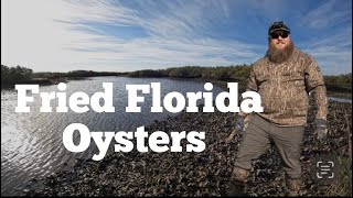 Fried Florida Oysters *Catch, Cook, Clean*