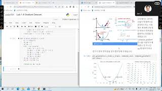 Lab 1 4 Gradient descent Net Worth