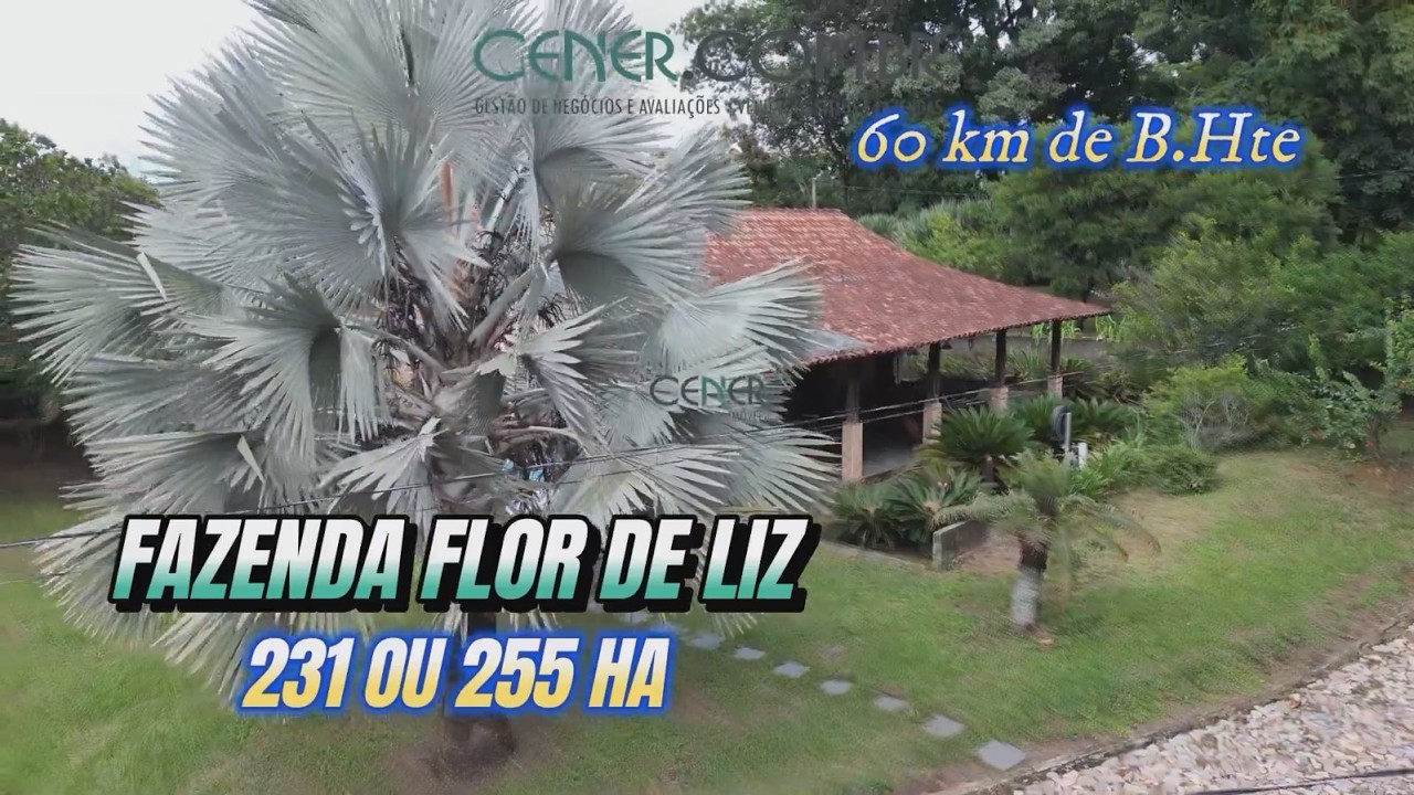 Impressionante Fazenda Flor de Liz com 231 ha a 60 km de Belo Horizonte por 15 milhões