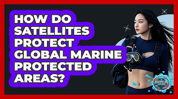 How Do Satellites Protect Global Marine Protected Areas? - The Marine Life Explorer
