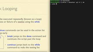 Full Bash Scripting - Using the while command Update