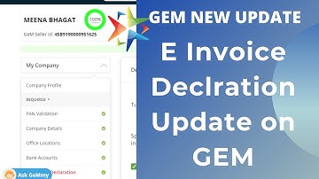 E Invoice Deceleration on Gem I Gem E Invoice Update