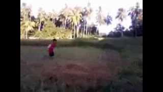 Vertical Ogbok Mpeg4