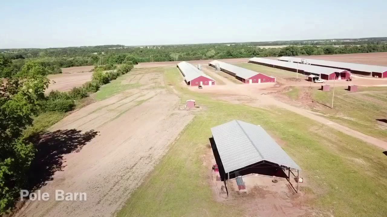 MLS 451025 Pilgrim’s Pride Breeder Farm YouTube