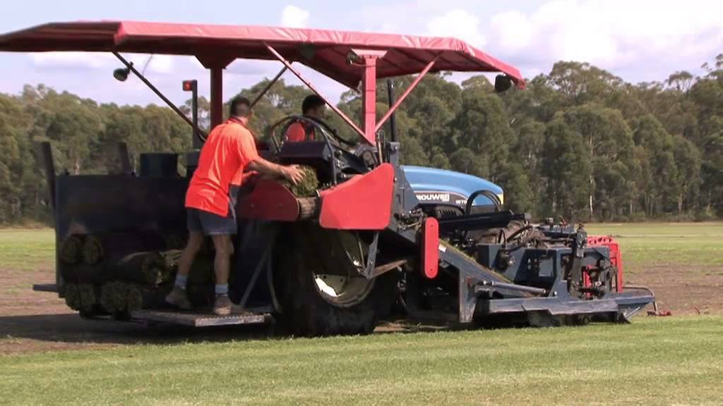 Lawn & Turf Supplies NSW Aussie Turf & Soil Supplies Sydney YouTube
