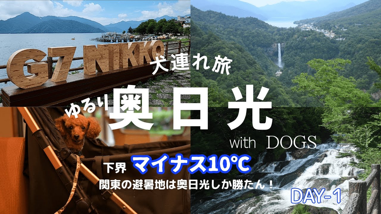 🐾【犬連れ奥日光旅 DAY1】東京より－10℃！｜関東の避暑地は奥日光しか勝たん！｜新オープン宿「ゆるり奥日光with DOGS」に宿泊