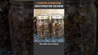 London Sunshine Dehydrator Review