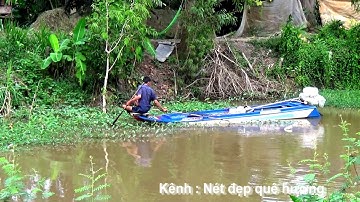 Giăng lưới cá vào mùa nước rút từ trên đồng xuống kênh rạch - Núi Tô, Tri Tôn, An Giang 11/11/2020