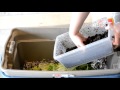 How to Set Up a Simple Worm Bin 2016