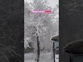 #indianinsiberia #tripuravloger #snow #winter #winterinsiberia #krasnoyarsk #winterbeauty #shorts