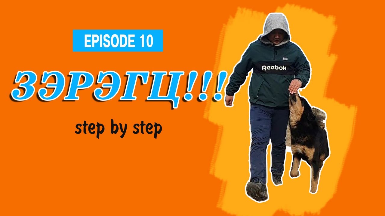 Нохой сургах арга #10 | Зэрэгц команд |