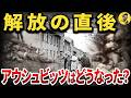 アウシュヴィッツ解放後、元囚人たちは看守に何をしたのか?【復讐の48時間】