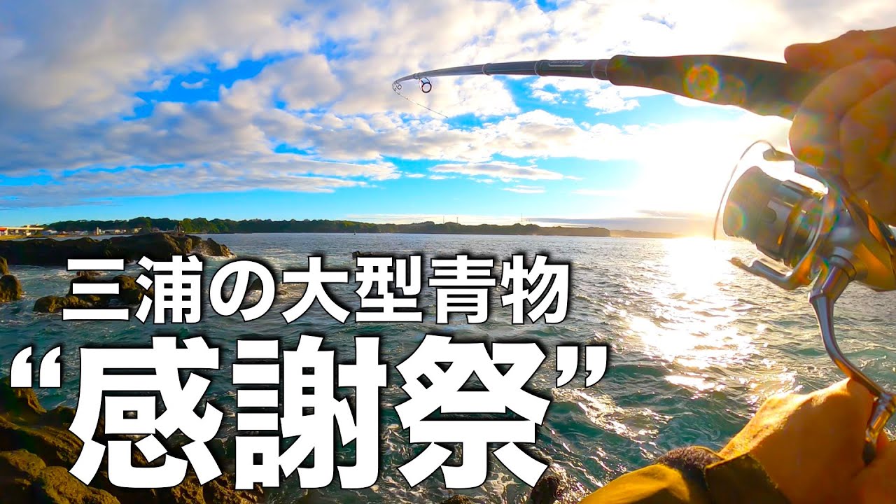 【年１の奇跡⁉︎】三浦の青物祭りに参加してきたよ〜鳥が乱舞しまくる海で大型青物(ブリ)を追う兄さん達の戦いを横目に、1人サラシを狙う男がいた物語編〜（釣れない釣り動画237）