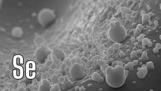 Selenium Chemistry and Compounds: An Introduction