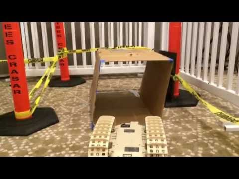 Robot Petting Zoo