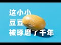 快速搞清黄豆酱、甜面酱、干黄酱、东北大酱、普宁豆酱、柱候酱、韩国大酱、味噌