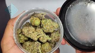 hmp.store | Vendor Review