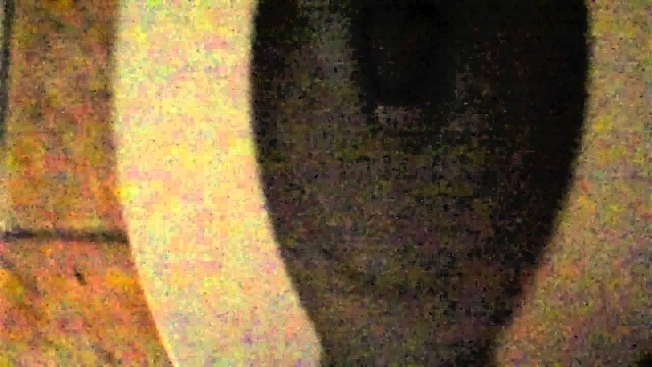 2900: 2010 Toto Drake Toilet - YouTube