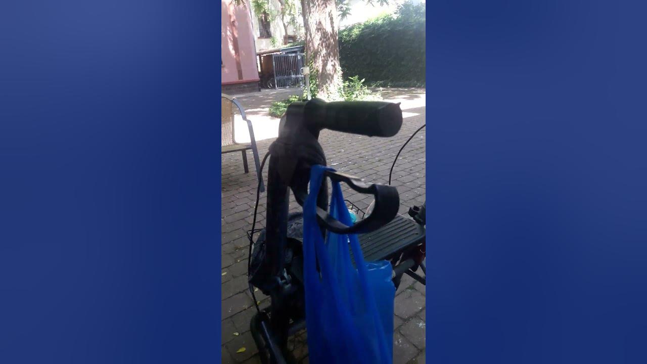 In unserem großen Garten vom Wohnheim in Mannheim ( Haus Bethanien in