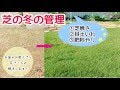 芝生の庭、冬の間にこうしよう！【芝焼き、目土、肥料やり】