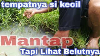 Keseruan Mancing Belut Bersama Joki Konel jooos