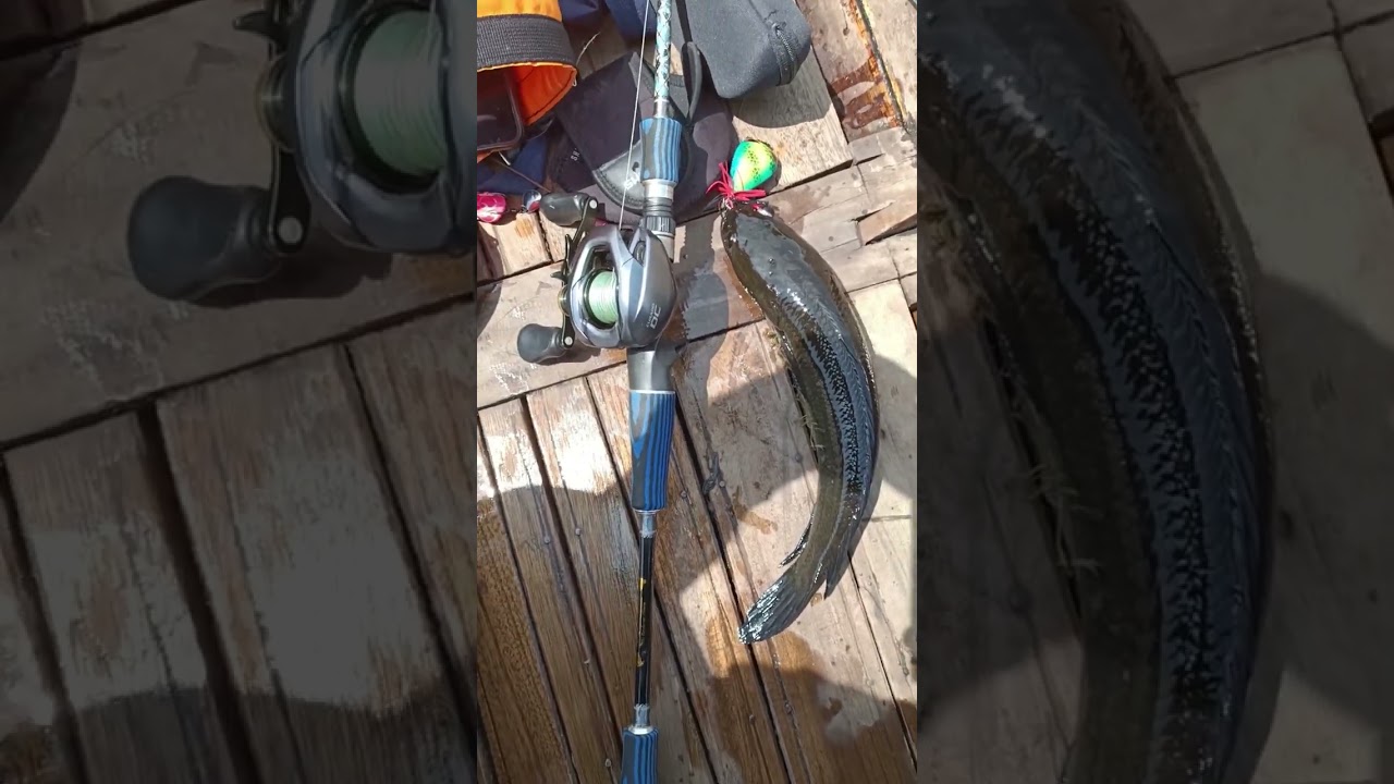 LURE JUMP FROG YANG KILLER