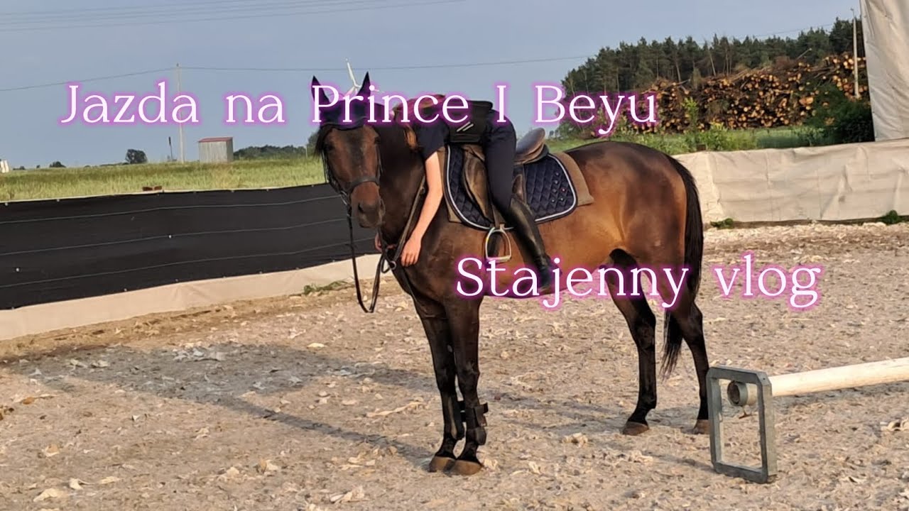 Jazda na Prince I Beyu || Stajenny vlog (v jakieś tysiąc)