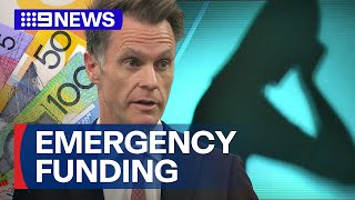 NSW government’s emergency fund for domestic violence | 9 News Australia