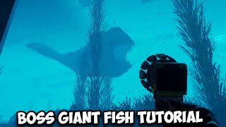 Zoonomaly Giant Fish Puzzle Tutorial and Showcase