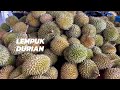 LEMPUK DURIAN | DURIAN PASTE