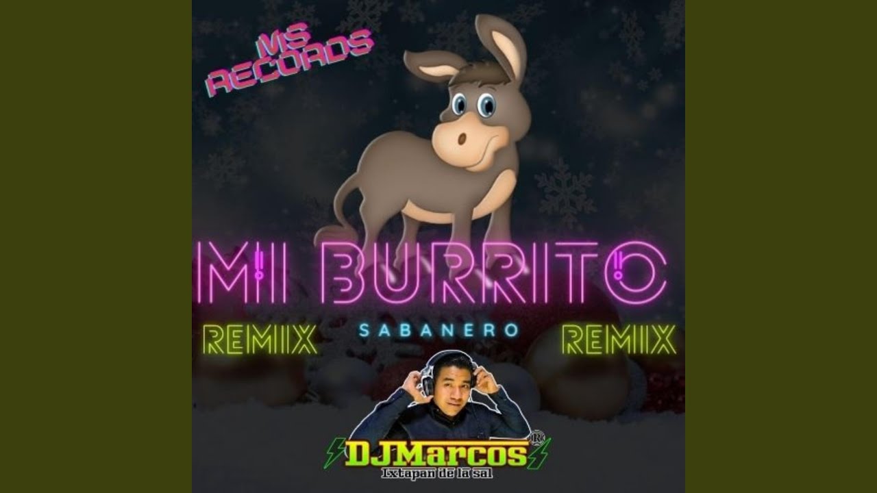 Mi Burrito Sabanero Remix (Remix) YouTube
