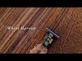 Wheat Harvest | Aerial Promo 2017