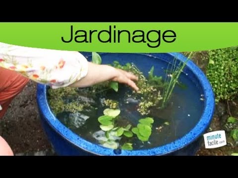 youtube bassin de jardin