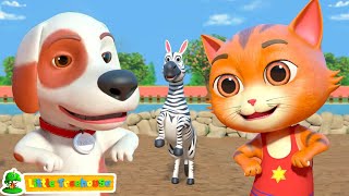 animal dance song kindergarten rhymes by little treehouse