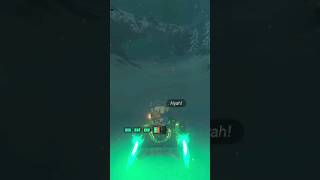 YAHAHA Day 166 of Helping Koroks - Zelda TOTK