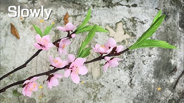 ABC TV | How To Make Peach Blossom Flower From Crepe Paper (Slowly) - Craft Tutorial