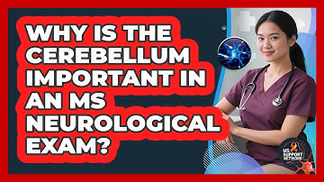 Why Is The Cerebellum Important In An MS Neurological Exam? - MS Support Network