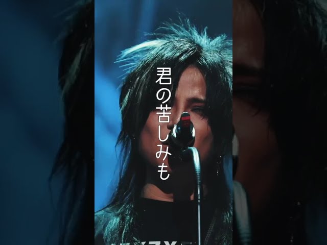 DEZERT #オーディナリー #DEZERT武道館 #shorts - YouTube